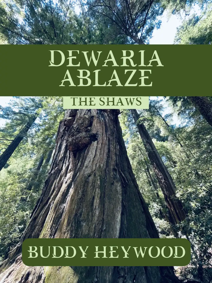 dewaria-ablaze-the-shaws