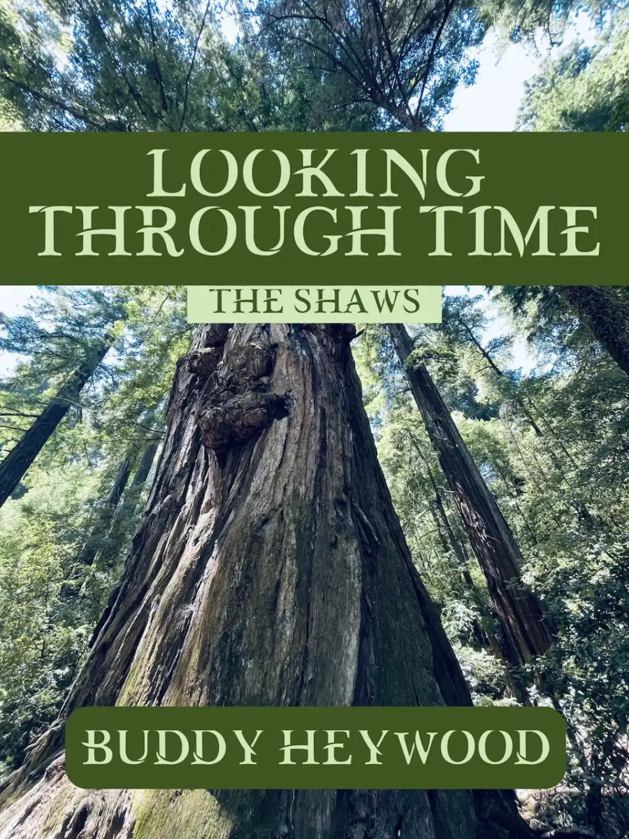 looking-through-time-the-shaws